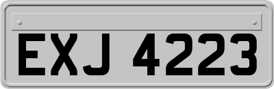 EXJ4223