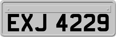EXJ4229