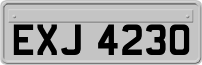 EXJ4230