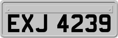 EXJ4239