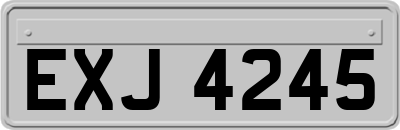 EXJ4245