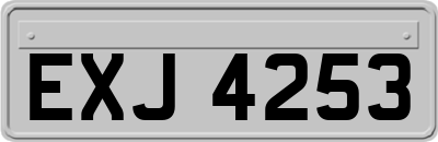 EXJ4253