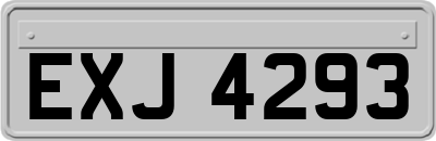 EXJ4293