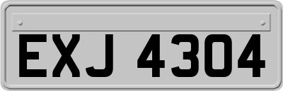 EXJ4304