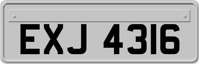 EXJ4316