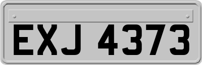 EXJ4373