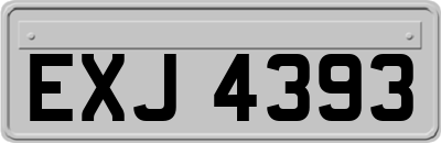 EXJ4393