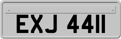 EXJ4411