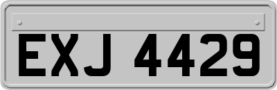 EXJ4429