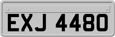 EXJ4480