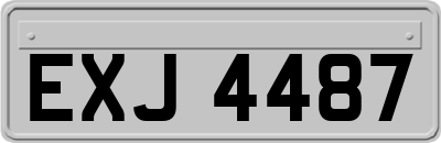 EXJ4487