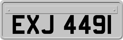 EXJ4491