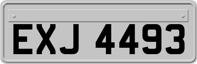EXJ4493