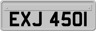 EXJ4501