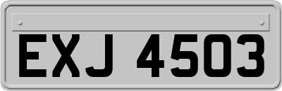 EXJ4503