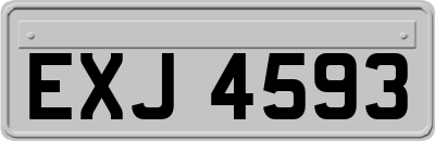 EXJ4593