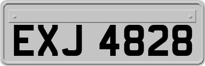 EXJ4828