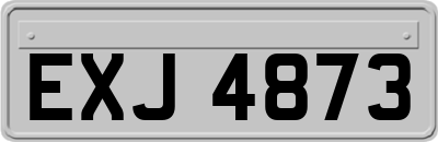 EXJ4873
