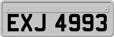 EXJ4993