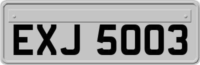 EXJ5003