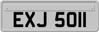 EXJ5011