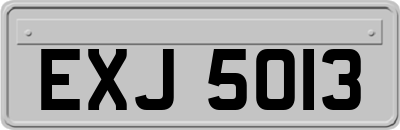 EXJ5013