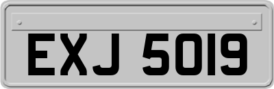 EXJ5019