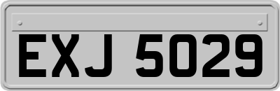 EXJ5029