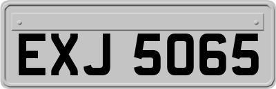 EXJ5065