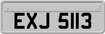 EXJ5113