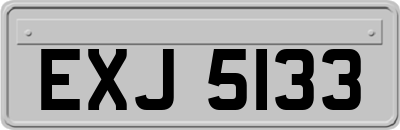 EXJ5133