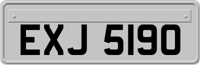 EXJ5190