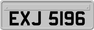 EXJ5196