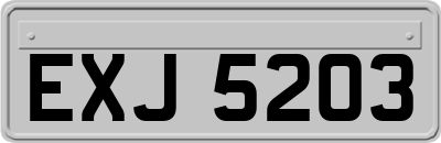 EXJ5203
