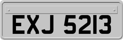 EXJ5213