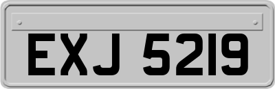 EXJ5219