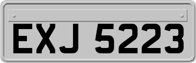 EXJ5223