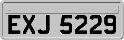 EXJ5229