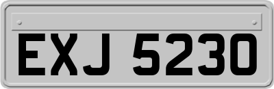 EXJ5230