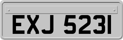 EXJ5231