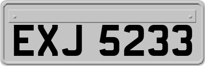 EXJ5233