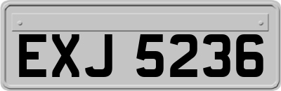 EXJ5236