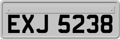 EXJ5238