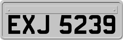 EXJ5239