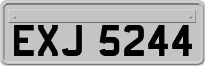 EXJ5244