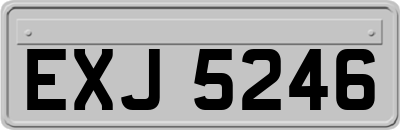 EXJ5246