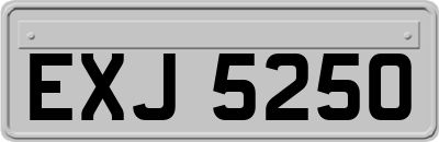 EXJ5250