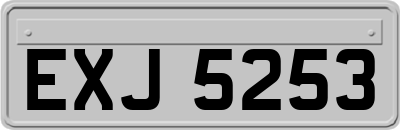 EXJ5253