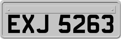 EXJ5263