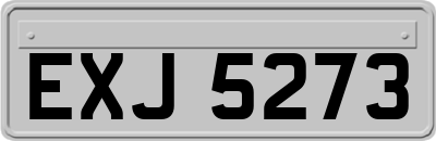 EXJ5273